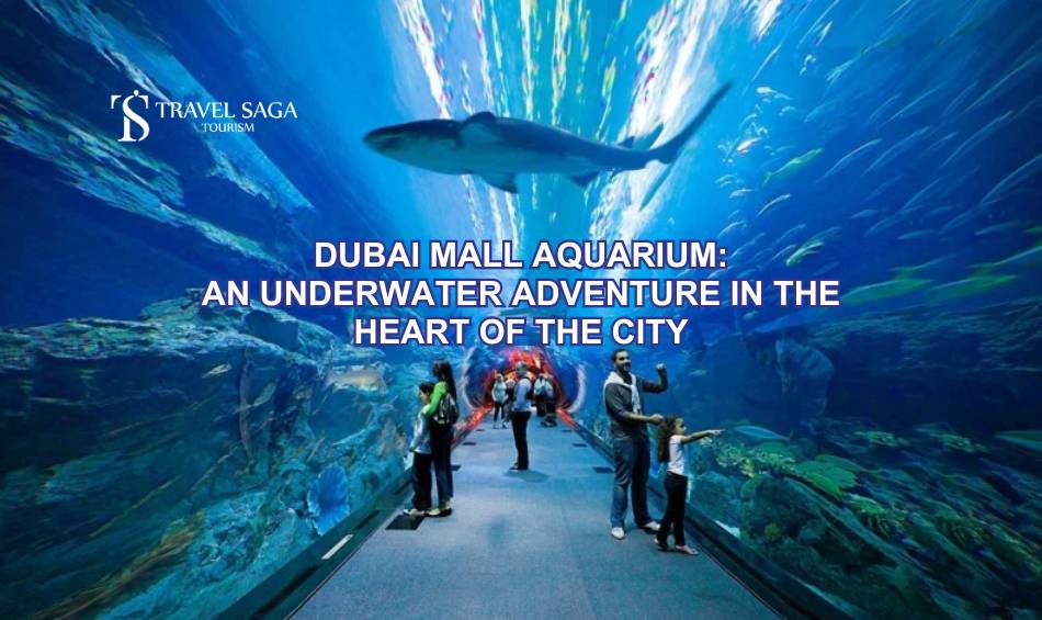 Dubai Mall Aquarium: An Underwater Adventure in the Heart of the City